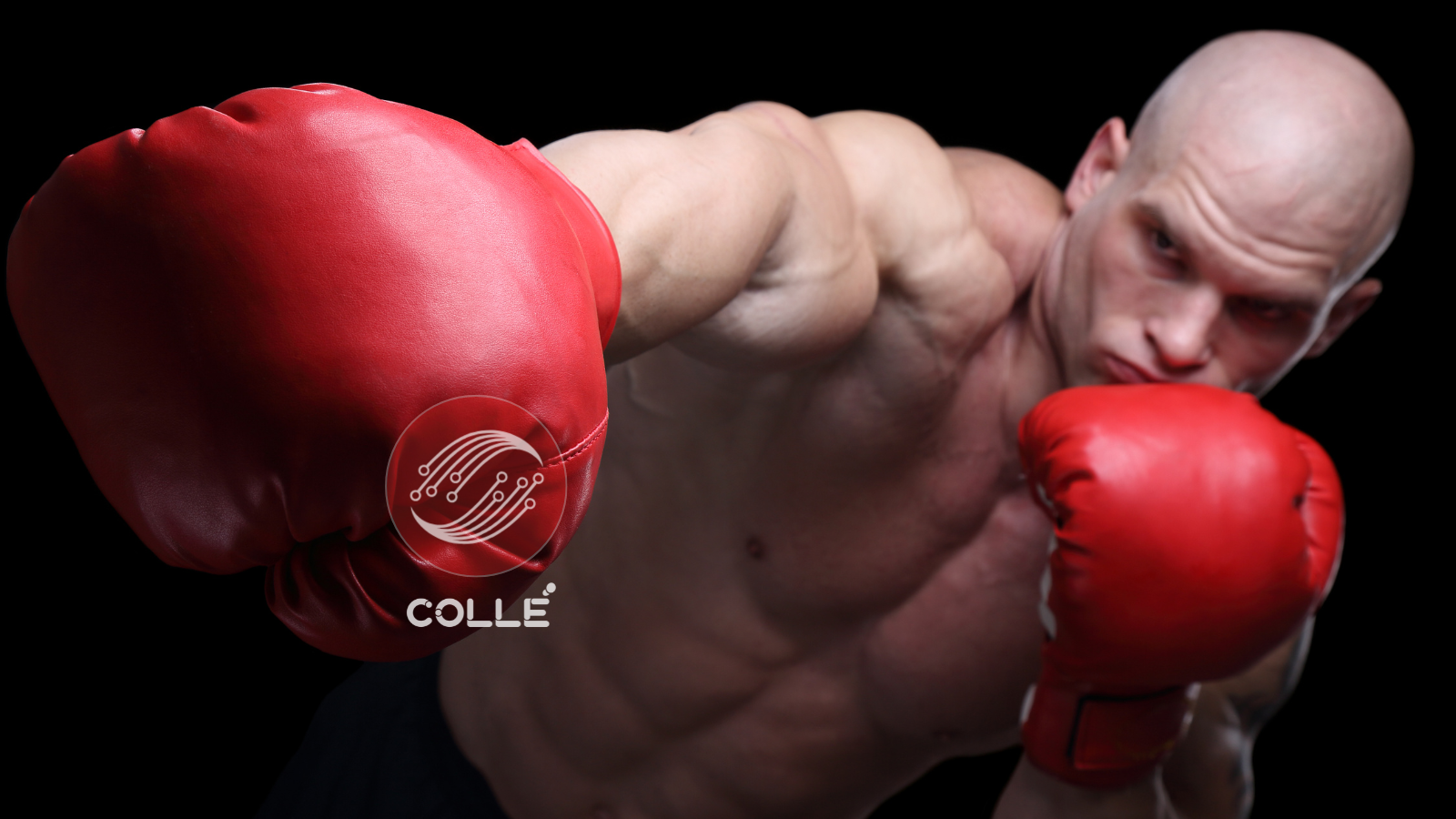 Colle AI Expands Multichain NFT Deployment Infrastructure